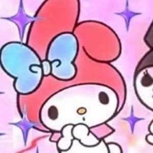 Meet your Posher, Aneesa